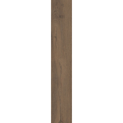 Dlažba Italgraniti Alnus terra 20x120 cm naturale rektifikovaná