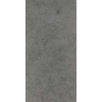 Dlažba Iris Whole Stone grey 60x120 cm naturale rektifikovaná